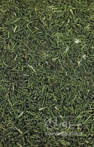 فروش شوید خشک (گیاه‌ دارویی)