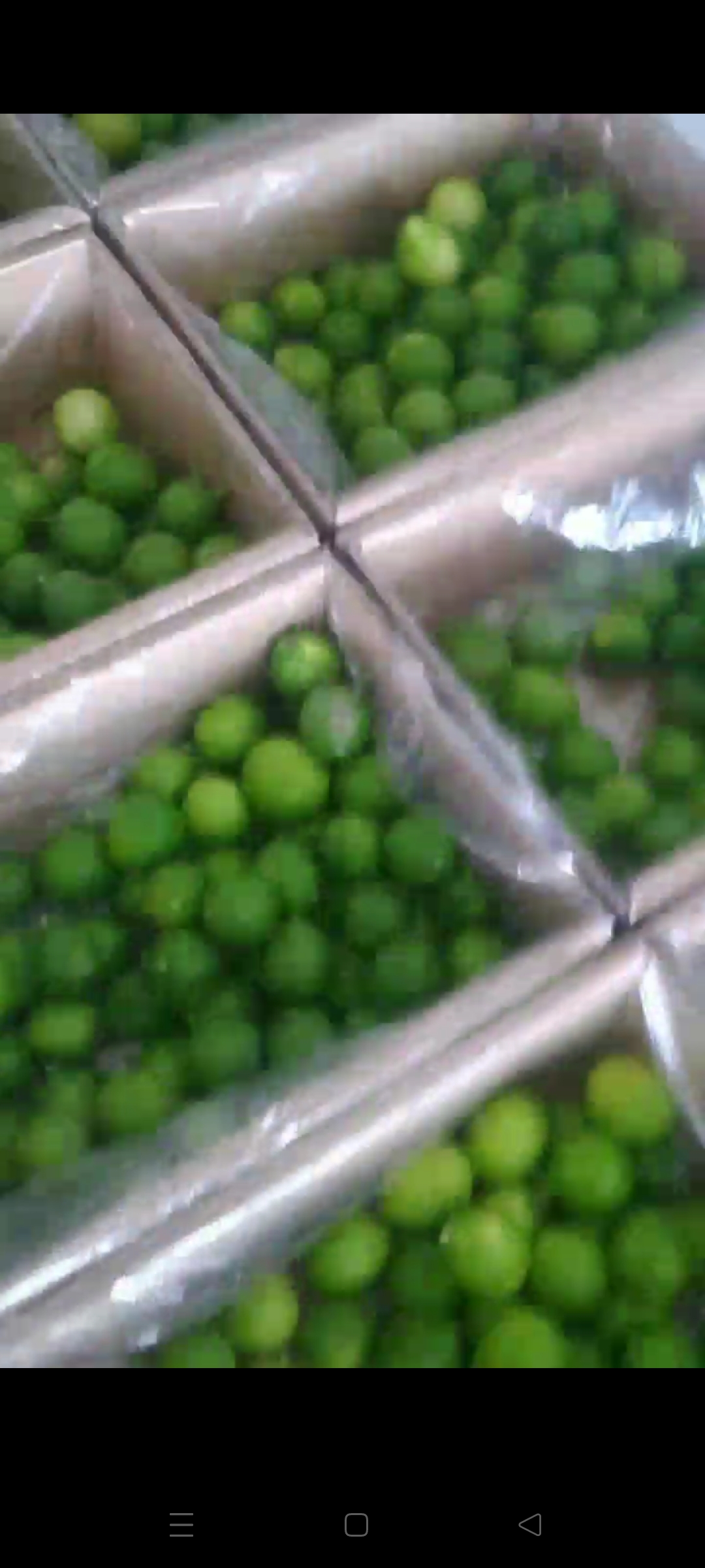 فروش لیمو ترش
