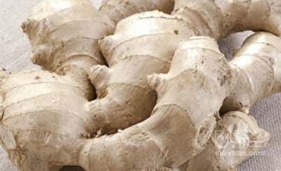 فروش زنجبیل (گیاه‌ دارویی)