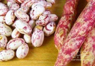 فروش لوبیا چیتی