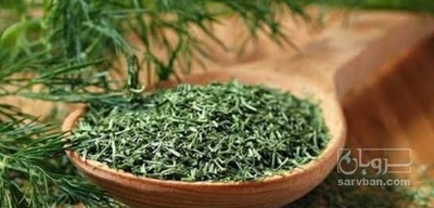 فروش شوید خشک (گیاه‌ دارویی)
