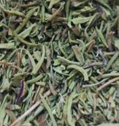 فروش ترخون (گیاه‌ دارویی)