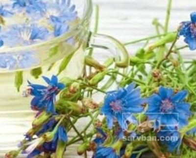 فروش عرق کاسنی
