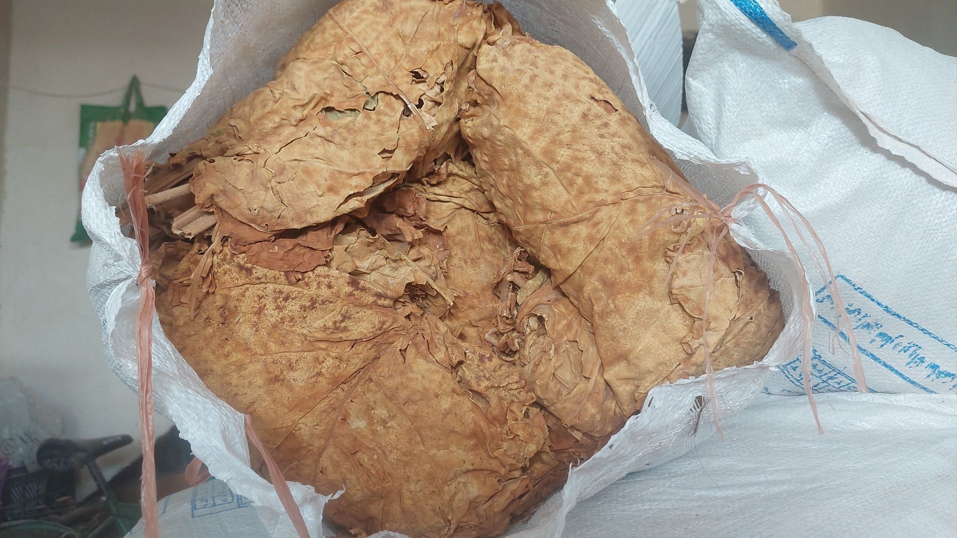 فروش تنباکو