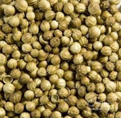 فروش تخم گشنیز (گیاه‌ دارویی)
