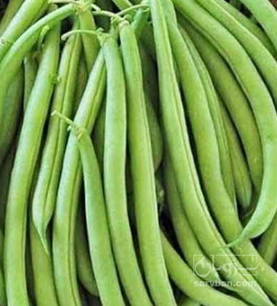 فروش لوبیا سبز