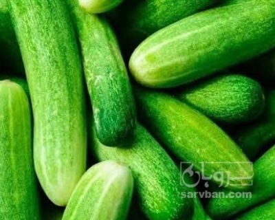 فروش خیار