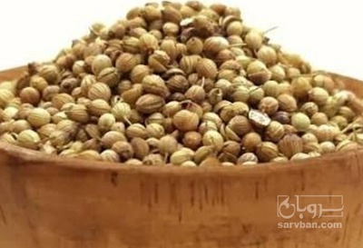 فروش تخم گشنیز (گیاه‌ دارویی)