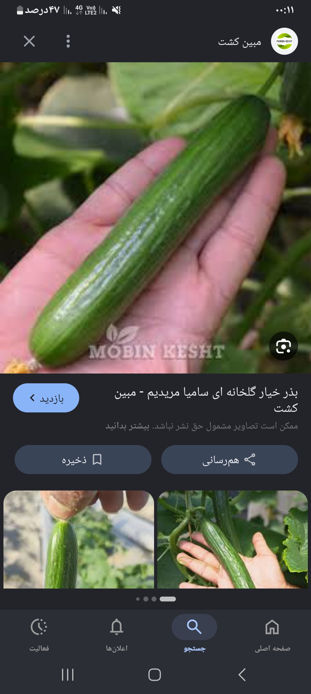 فروش خیار