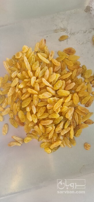 فروش کشمش