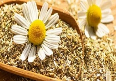 فروش بابونه (گیاه‌ دارویی)