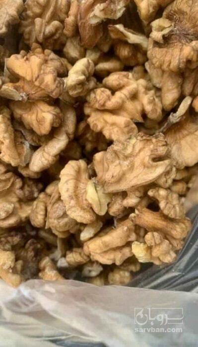 فروش گردو