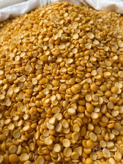 فروش نخود کفتری - لپه