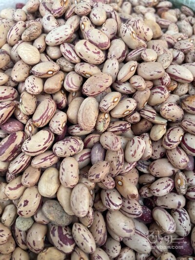 فروش لوبیا چیتی