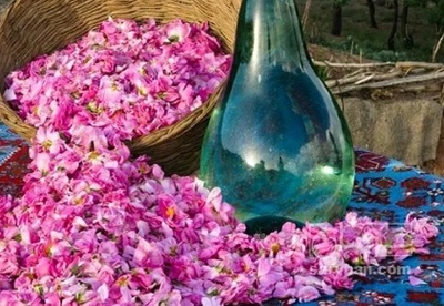 فروش عرق گلاب