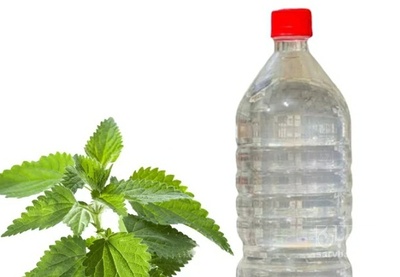 فروش عرق گزنه