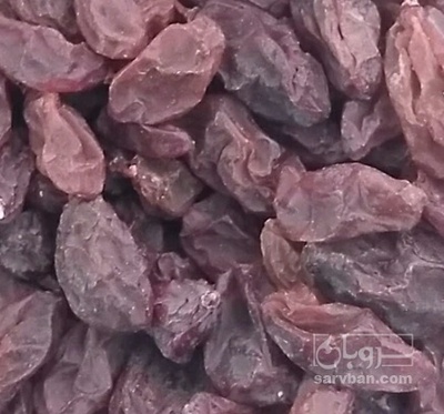فروش مویز عسگری