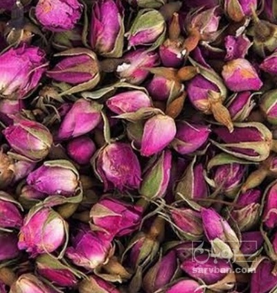فروش کشمش
