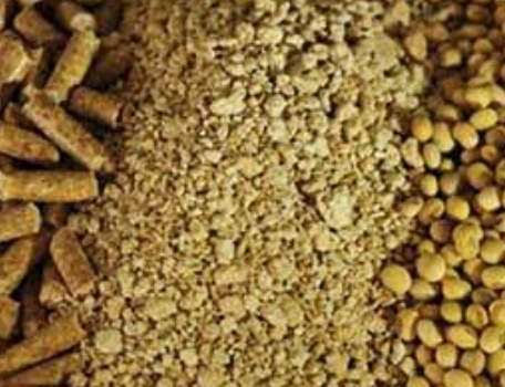 فروش  کنجاله سویا