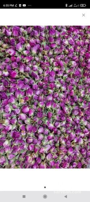 فروش غنچه گل محمدی (گیاه‌ دارویی)