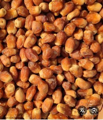 فروش خرما