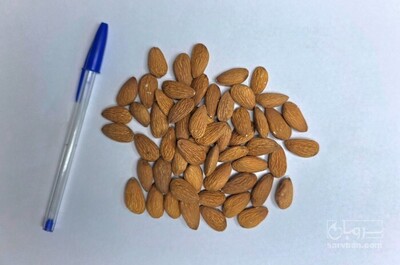 فروش بادام