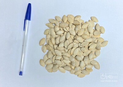 فروش تخمه  کدو بو داده