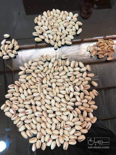 فروش پسته