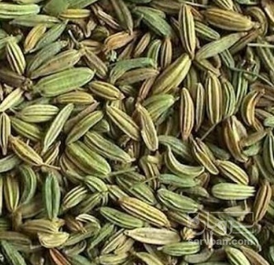 فروش زیره سبز به حال خود