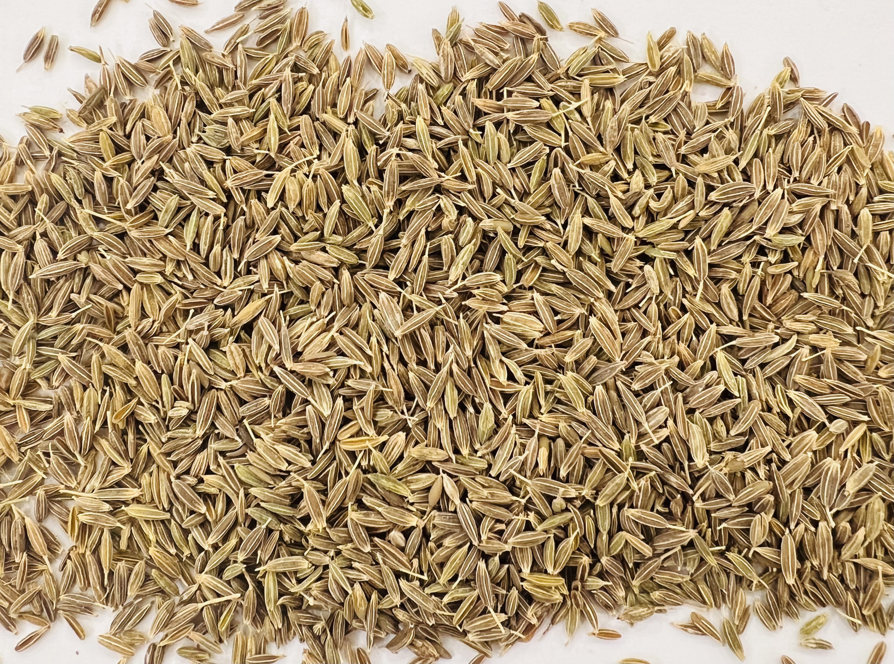 فروش زیره (گیاه‌ دارویی)زیره سبز