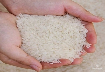 فروش برنج طارم هاشمی