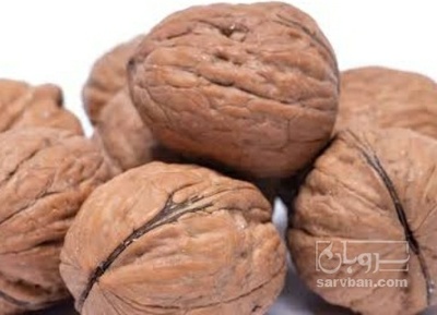فروش گردو