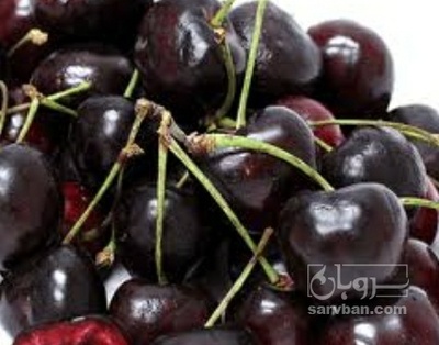 فروش گیلاس
