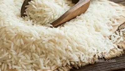 فروش برنج شیرودی