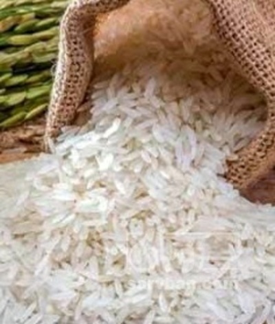 فروش برنج طارم محلی
