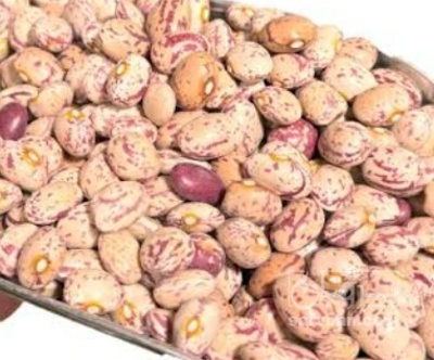 فروش لوبیا چیتی
