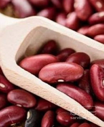 فروش لوبیا قرمز