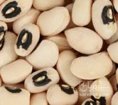 فروش لوبیا چشم بلبلی