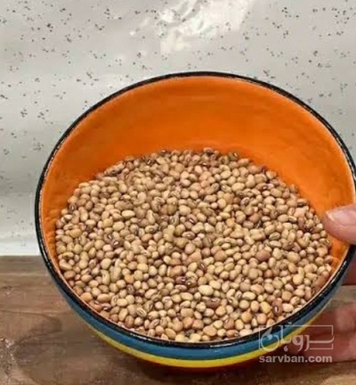 فروش لوبیا  پلویی