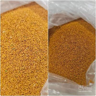 فروش خاکشیر (گیاه‌ دارویی)