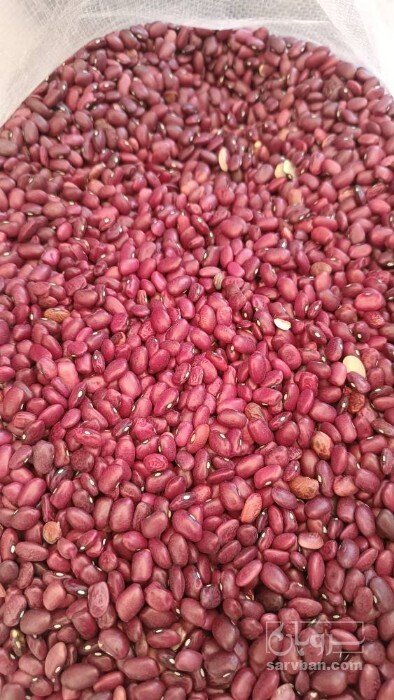 فروش لوبیا قرمز