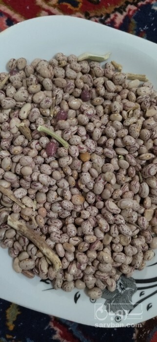 فروش لوبیا چیتی