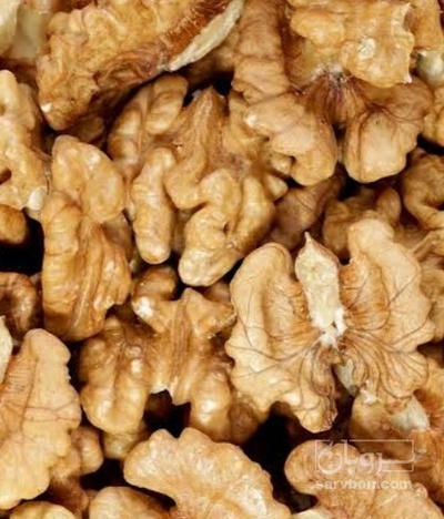 فروش مغز گردو