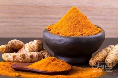 فروش پودر زردچوبه