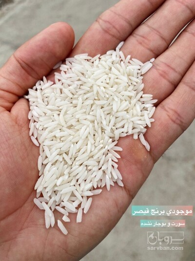 فروش برنج