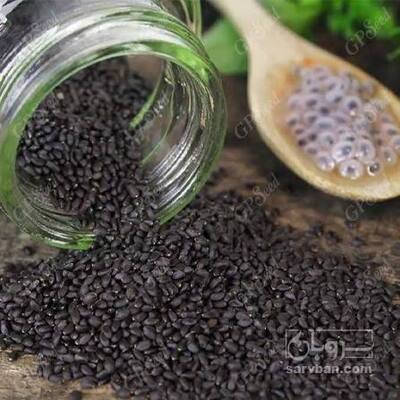 فروش تخم شربتی