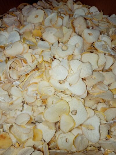 فروش موسیر
