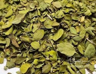 فروش آویشن خشک (گیاه‌ دارویی)