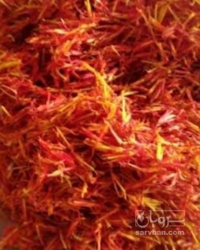 فروش گلرنگ