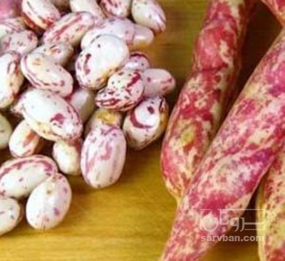 فروش لوبیا چیتی